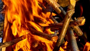 Czy można palić ognisko w ogrodzie i na działce?