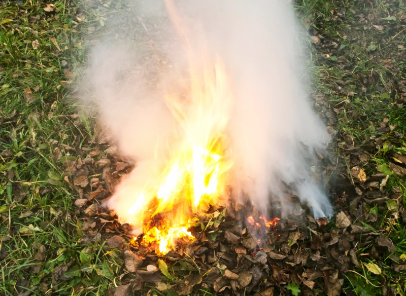 Za palenie gałęzi i liści w ogrodzie można otrzymać wysoką grzywnę