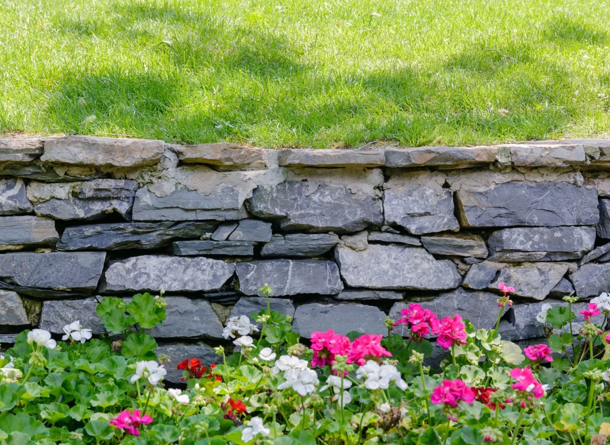 Jakimi roślinami najlepiej je obsadzić i o czym warto pamiętać, budując je w ogrodzie