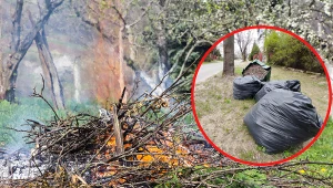 Wyjaśniamy, czy w ogrodzie można legalnie palić liście i gałęzie. Fot. East News: Piotr Kamionka/Reporter;
