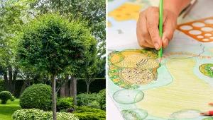 Wyjaśniamy, na co zrócić uwagę przy zakładaniu ogrodu.