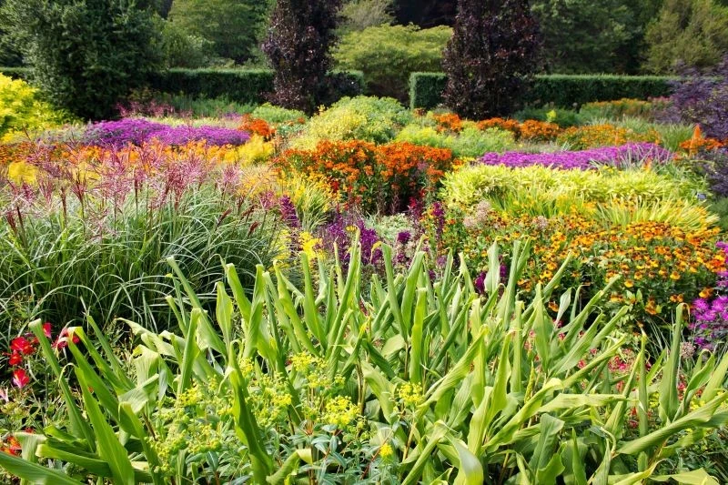 Najlepszą porą na sadzenie bylin jest wiosna lub jesień