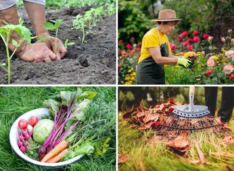 Poznajcie listę prac w ogrodzie na cały rok