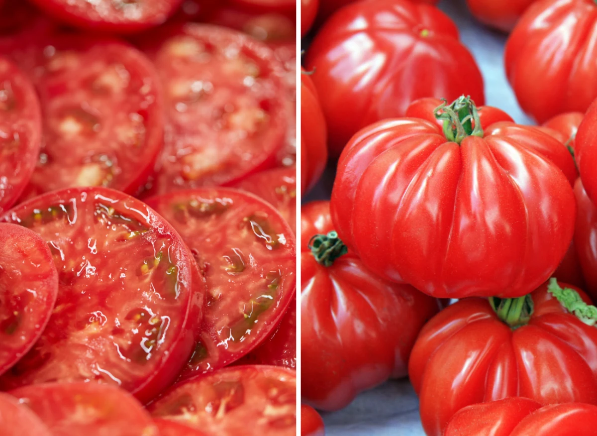 Pomidory Marmande mają mięsisty i soczysty miąższ