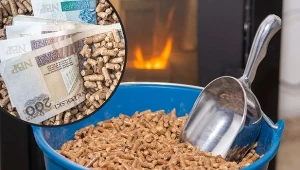 Podpowiadamy, ile aktualnie kosztuje tona pelletu drzewnego.