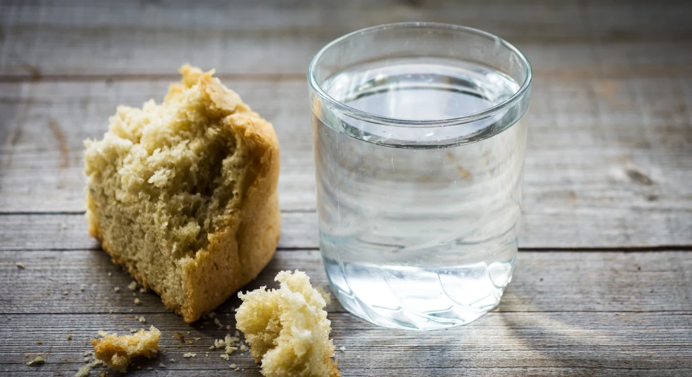 Zakwaszanie chlebem to najlepszy domowy sposób na zmianę odczynu gleby pod już rosnącymi krzewami borówek
