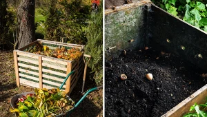 Wyjaśniamy, jak prawidłowo kompostować odpadki.