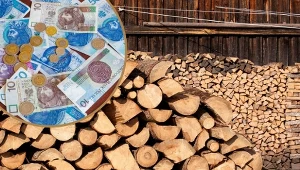 Ceny drewna spadają. To najlepszy czas na zakup drewna opałowego na przyszłą zimę. Fot.123RF/Michal Kosc/Forum