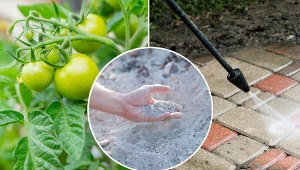 Zastosowanie popiołu drzewnego jest bardzo szerokie.