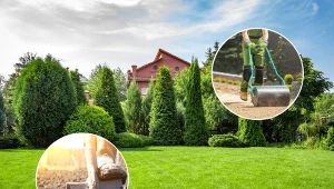 Jak przygotować miejsce przed domem na trawnik krok po kroku? Sprawdź!