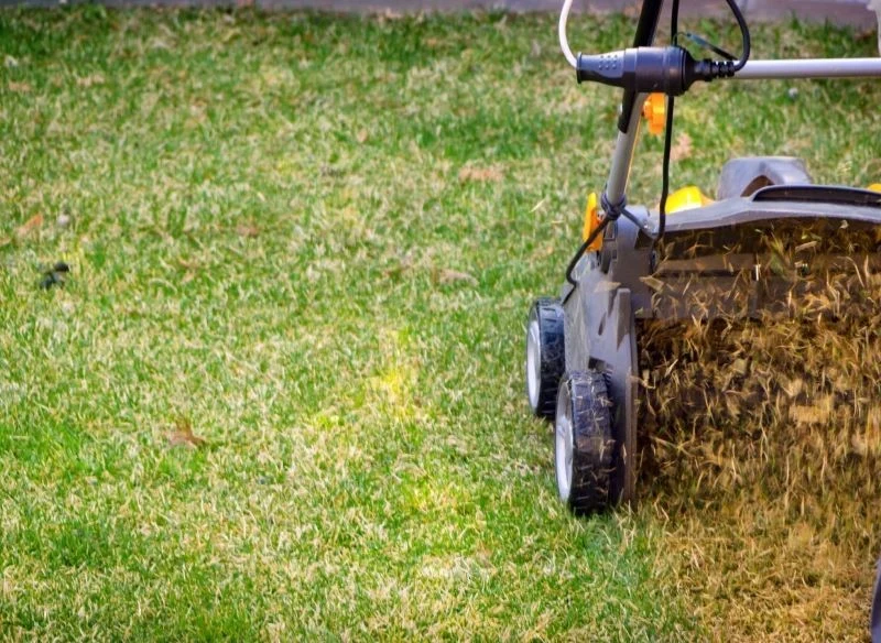 Wczesną wiosną warto wykonać w ogrodzie wertykulację