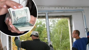 W 2023 można uzyskać nawet 100 proc. dofinansowania do wymiany okien. Fot.123RF/Krzysztof Serafin/Forum