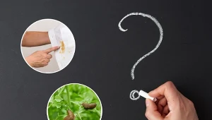 Jakie właściwości posiada kreda? Do czego można ją wykorzystać? Podpowiadamy!