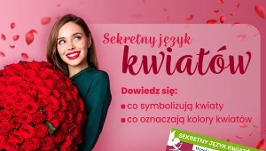 Kwiaty w zależności od koloru i rodzaju mają różną symbolikę.