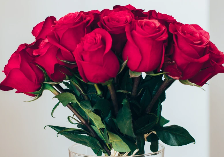 Róże w kolorze różowym wyrażają zauroczenie