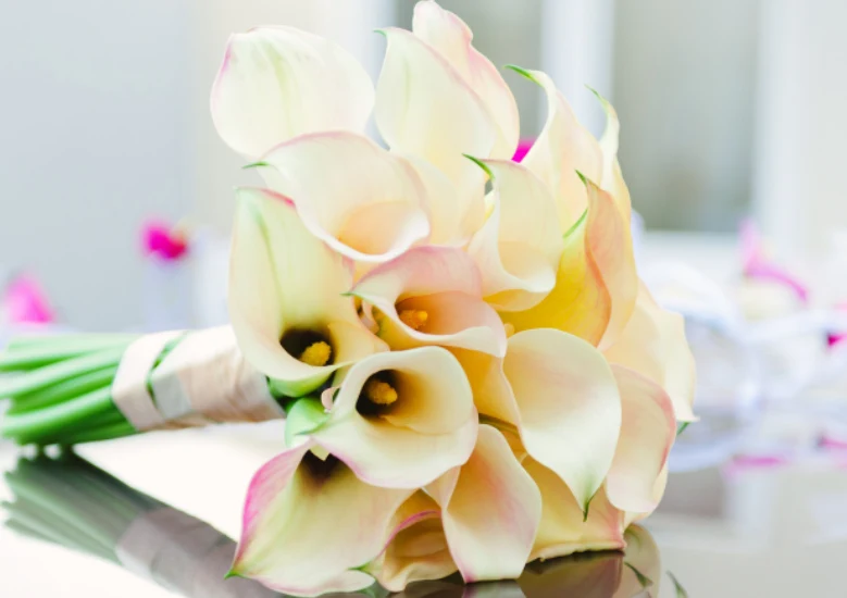 Kalia wyraża szczere intencje wobec partnerki