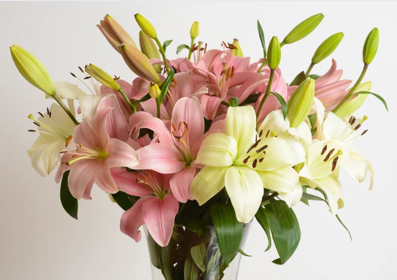 Lilia symbolizuje podziw wobec drugiej osoby