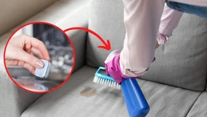 Jak wyczyścić tapicerkę meblową? Domowe mieszanki lepsze niż chemia ze sklepu