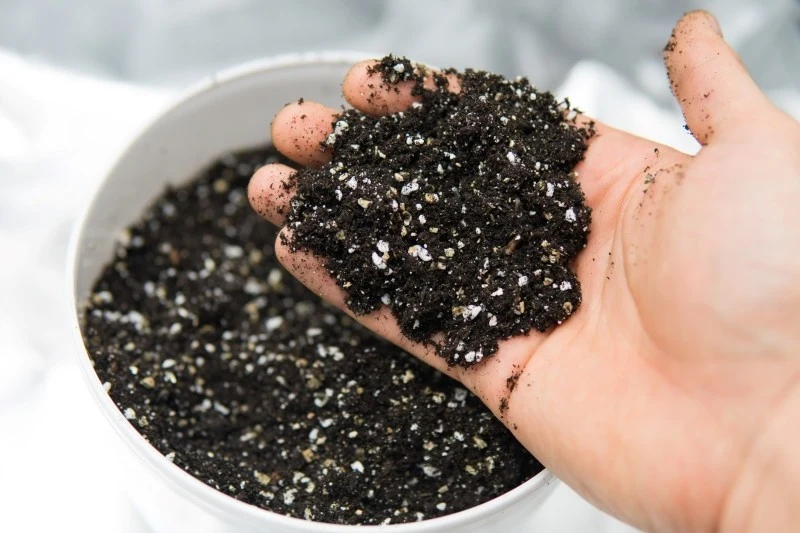 Perlit jest zwykle stosowany w mieszankach glebowych, aby zwiększyć napowietrzenie i poprawić teksturę gleby