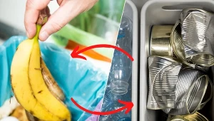 Niestosowanie się do zasad segregacji skutkuje dodatkową opłatą za brak segregacji śmieci.