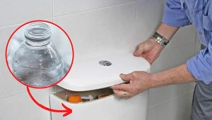 Wyjaśniamy, na czym polega trik z butelką w spłuczce. Fot. 123RF.com/Canva Pro: Wachiwit