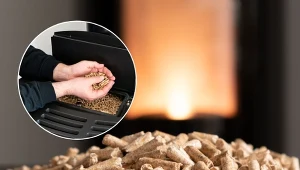 Jakie są aktualne ceny pelletu drzewnego i prognozy na 2023? Sprawdź!