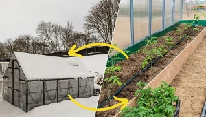 Ilość prac do zrobienia przed rozpoczęciem sezonu szklarniowego może przytłaczać. Dlatego warto sporządzić listę zadań do wykonania.