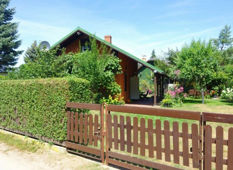 Drzewa owocowe na działce ROD należy sadzić w odpowiedniej odległości od granicy działki