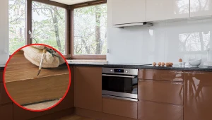 Wyjaśniamy, jak pozbyć się rys na meblach.