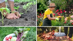 Poznajcie listę prac w ogrodzie na cały rok.