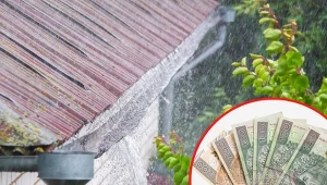 Opłata deszczowa 2023 ma być ściągana wraz z odsetkami za okres pięciu ostatnich lat.