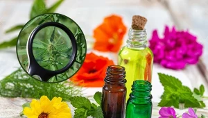 Czy na  na pewno znasz wszystkie zioła? Przekonaj się, rozwiązując QUIZ/