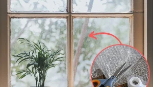 Folia jest nie tylko świetnym sposobem na zabezpieczenie rzeczy przed wysyłką. To także ochrona przed uszkodzeniami mechanicznymi, wilgocią, wodą czy zanieczyszczeniami w powietrzu.