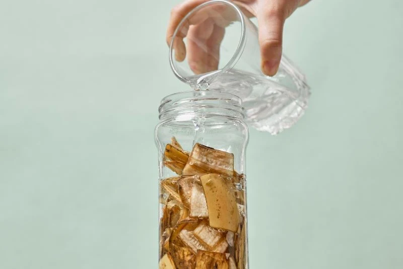 Przygotowanie nawozu z bananów to nic trudnego, a efekty są naprawdę imponujące