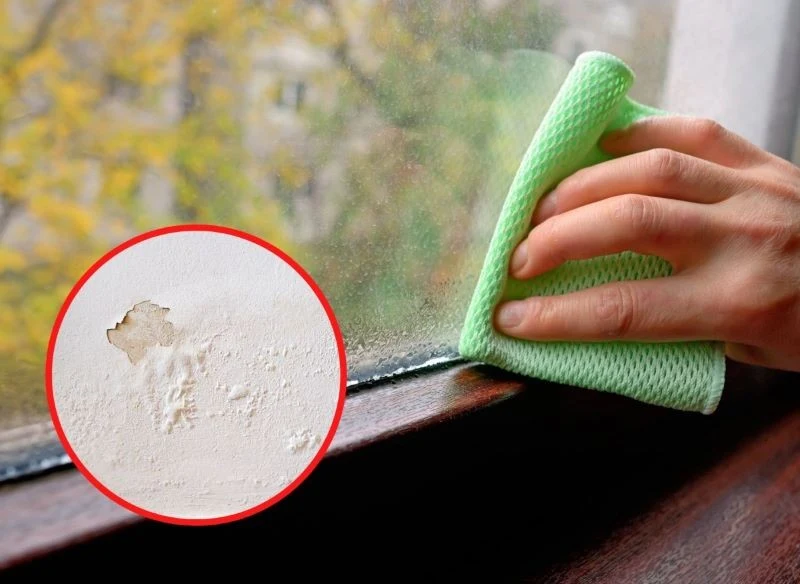 O nadmiernej wilgoci świadczą nie tylko zaparowane okna, ale również łuszczące się ściany