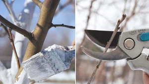 Pamiętaj, im więcej zrobisz w styczniu, tym mniej obowiązków będziesz mieć w marcu!