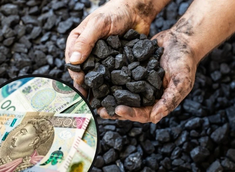 Nadchodzą kontrole dotyczące dodatku węglowego