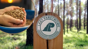 Rozpoczęła się sprzedaż pelletu przez Lasy Państwowe w dwóch lokalizacjach. Fot.123RF/Marek Zajdler/East News