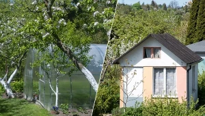 Działka o charakterze rekreacyjnym może dawać złudzenie ograniczającej. W rzeczywistości taki teren jest miejscem, które daje wiele możliwości. Fot.WOJCIECH STROZYK/REPORTER/Stanislaw Bielski/REPORTER