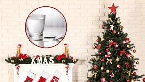 Jak pielęgnować choinkę w domu, żeby stała jak najdłużej? Podpowiadamy!