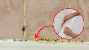 Sprawdźcie, jak usunąć stary silikon.