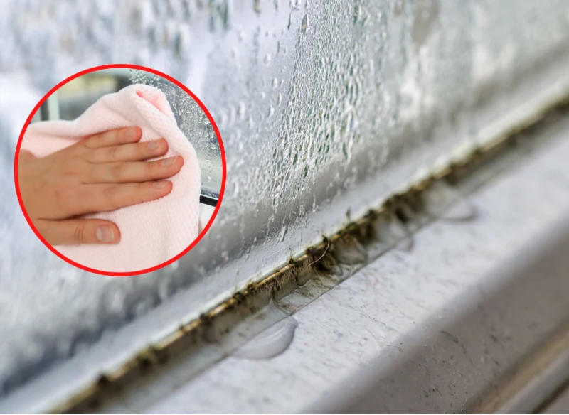 Przedstawiamy sposoby, które sprawią, że okna przestaną parować