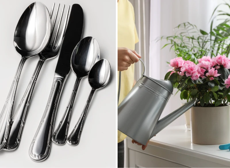 Woda po ziemniakach pomoże Ci w polerowaniu sztućców oraz odżywi kwiatki doniczkowe