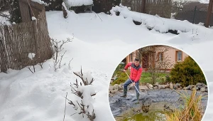 Powierzchnia oczka wodnego nie może być całkowicie zamarznięta.