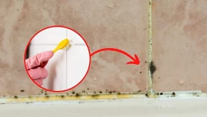 Przedstawiamy sprawdzone rozwiązania, które pozwolą wyczyścić fugi z brudu i pleśni.