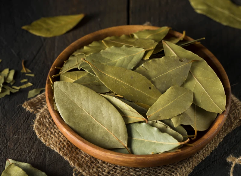 Liście laurowe mają właściwości poprawiające samopoczucie