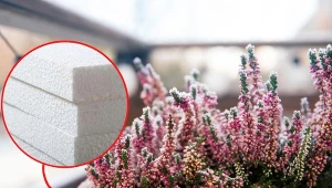 Odpowiednie zabezpieczenie roślin, pomoże przetrwać im nawet bardzo srogą zimę.