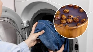 Orzechy piorące od wieków stosowane są jako naturalny środek piorący.