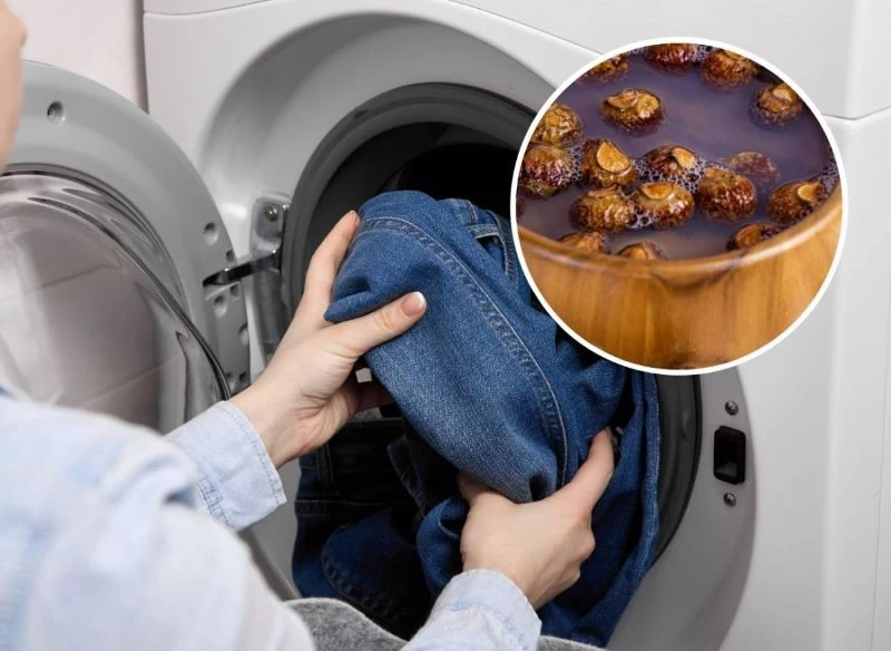 Orzechy piorące od wieków stosowane są jako naturalny środek piorący