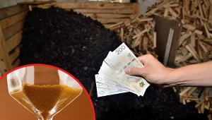 Dopłaty od państwa 2022. Sprawdź, jakie są terminy składania wniosków o jednorazowe dopłaty. Fot.123RF/Bartlomiej Magierowski/EastNews